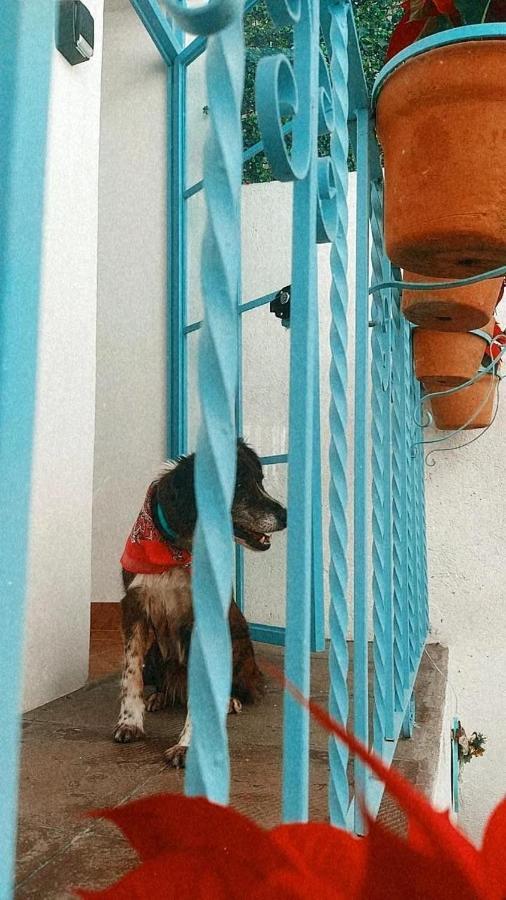 Casa Cardennal ซานมิเกล เด อาเญนเด ภายนอก รูปภาพ
