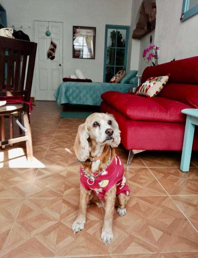 Casa Cardennal ซานมิเกล เด อาเญนเด ภายนอก รูปภาพ